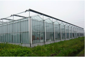 大连菊兰温室项目